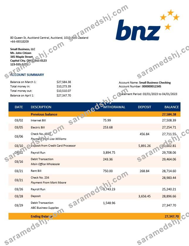 BNZ Bank organization account statement Word and PDF template